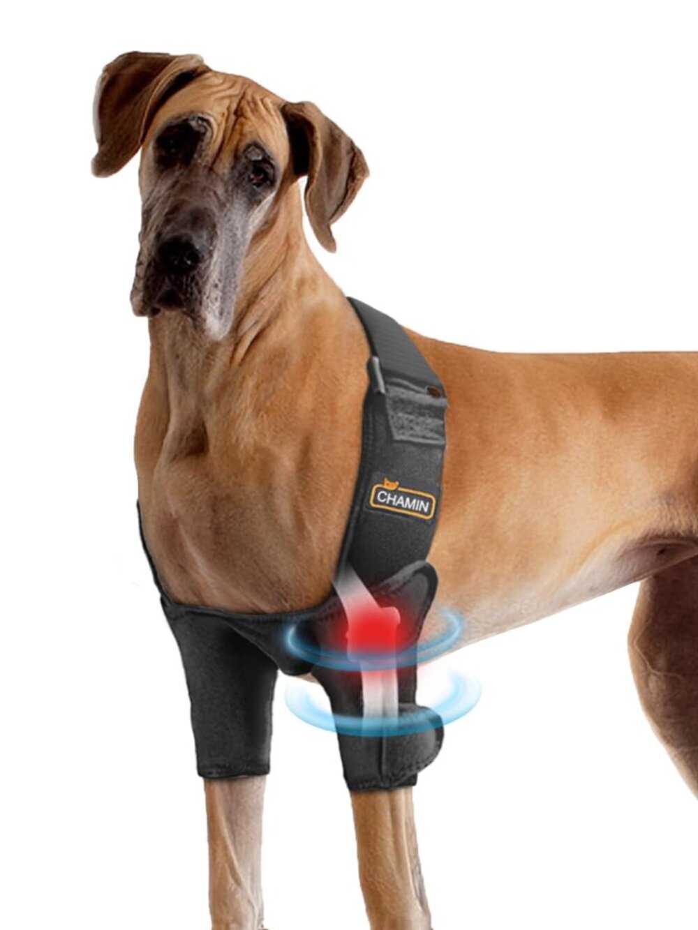 Dog Elbow Brace XXL